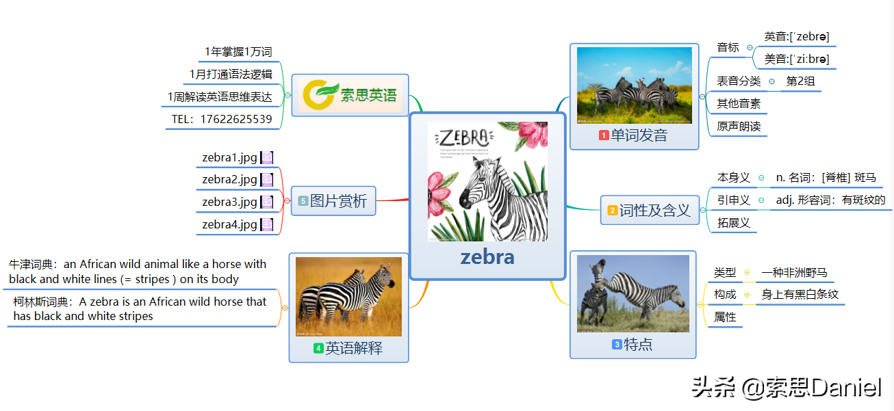 索思英语解码单词（第34个）——zebra斑马