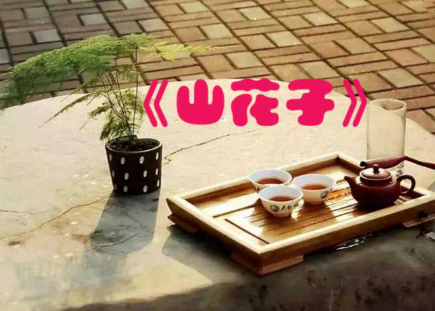一日一诗词 ‖《山花子·林下荒苔道韫家》