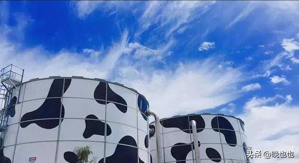 狂卖800亿，养活蒙牛伊利！一个外国纸盒厂，凭什么拿捏我们？