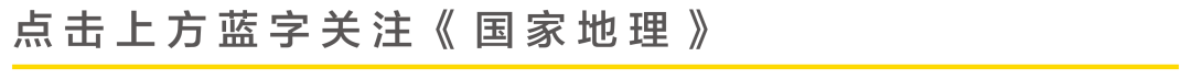 “国潮糕点礼盒”火爆朋友圈！15款网红糕点，好吃好看有新意，过年送礼就它了！